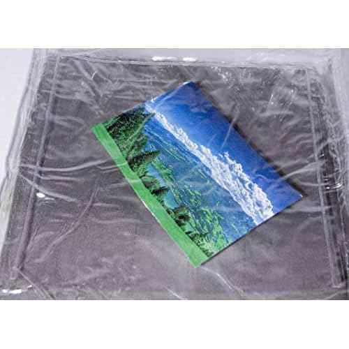 10-Pack Clear Vinyl Storage Bags 9 x 11 x 5 Inch with Zipper and 7.5" Display Pocket