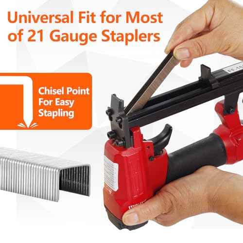 1/2 Inch Crown 21 Gauge Stainless Steel 304 Staples 1940-Count 3 Sizes for 80 Series Staple Gun, Includes: 5/16", 3/8", 1/2" Assortment, Combo kit