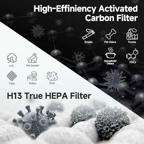 4 Pack F1 Replacement Filters | Compatible with AMEIFU F1 Purifier, Replace Part #?F1F | Double-sided Filtration