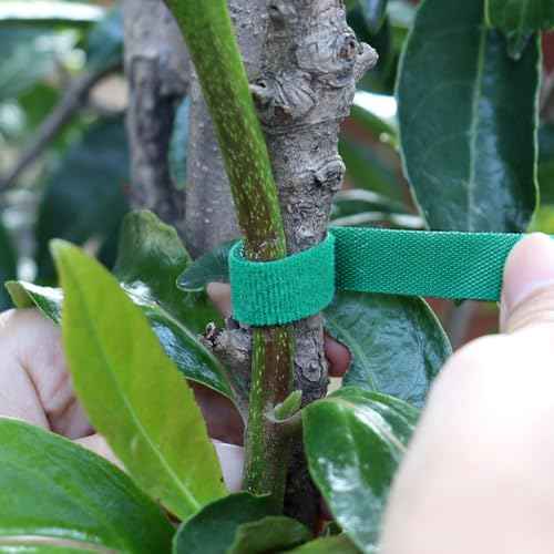 6 Rolls Garden Tie Tape, 196.8 Ft Lawn Plant Ties, Reusable Plant Garden Ties, 1/2''Plant Tape for Climbing Plants, Adjustable Plant Straps for Gardening, Home, Office (196.8 Feet)