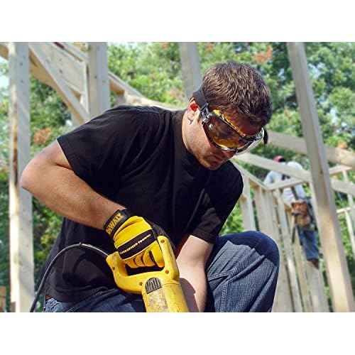 DEWALT DPG82-11 Concealer Clear Anti-Fog Dual Mold Safety Goggle,ZNKJxm 2 Pack (1 Count Clear Lens)