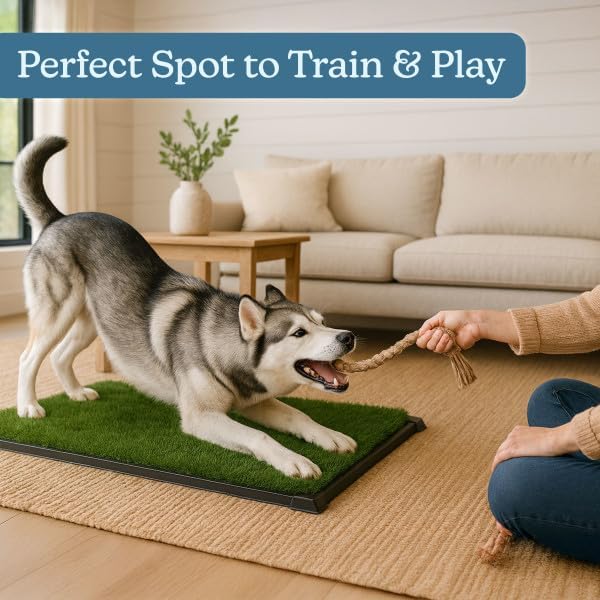 Dog Grass Pad with Tray - 35.5x23.5in Reusable Pee Pads for Dogs - 4-Layer Indoor/Outdoor Artificial Grass Pee Pad - Dog Housebreaking Supplies for Puppy Training by PETMAKER