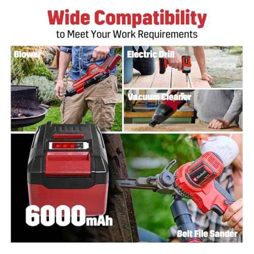 2-Pack 18V 6Ah Battery Pack Compatible with Einhell Tools X-Change 4511396 4511437 Cordless Power Tools