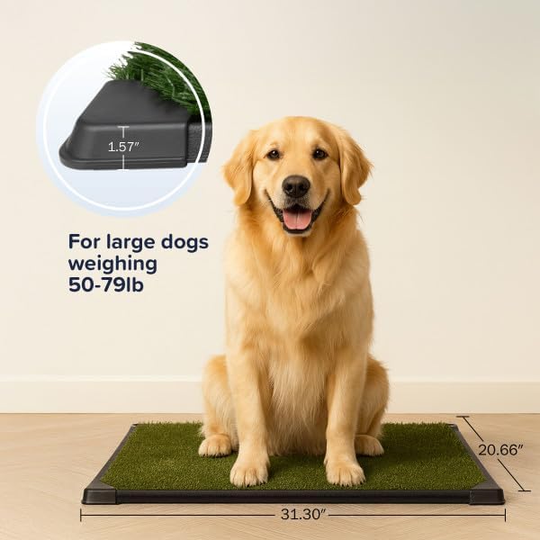 Artificial Grass Puppy Pee Pad for Dogs and Small Pets - 20x30 Inch, Reusable 4-Layer Turf Pads for Dogs with Tray - Indoor and Outdoor Fake Grass Potty Pet Supplies by PETMAKER