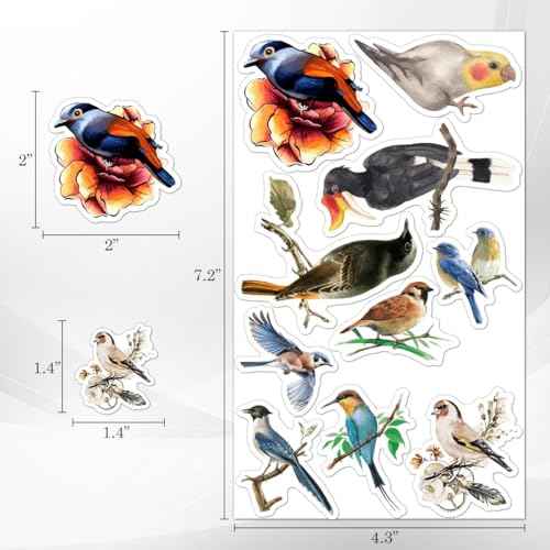 Pack 50 Pcs Cute Animal Bird Stickers for Water Bottles Waterproof Laptop Luggage Computer Scrapbooking Teens Adults Girls Kids Boys Aesthetic Sticker Packs Small Vinyl Decals