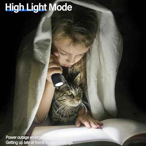 PHILIPS SFL1183 Bright 400 Lumens Tactical Torch High Lumens with 6 Modes,Rechargeable LED Flashlights, 2000mAh, Waterproof,Handheld Flash Light for Emergencies, Camping, Hiking