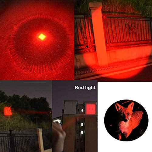Multicolored 3-Mode Flashlight: Red, Green, Blue, UV & White LED Lights (Pack of 5)