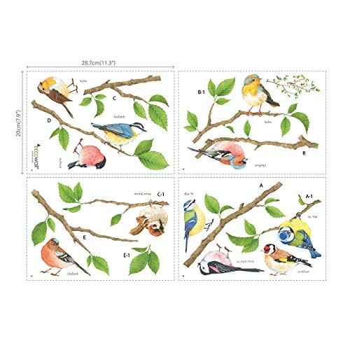 DECOWALL DS4-8036 Garden Birds Kids Wall Stickers Wall Decals Peel and Stick Removable Wall Stickers for Kids Nursery Bedroom Living Room (Small) Decor