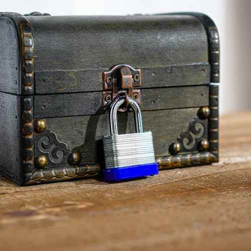 Laminated Steel Padlock with Same Keys for Gym Locker Toolbox Shed Storage, keyed Alike, Normal Shackle, Pack of 10(1.3")