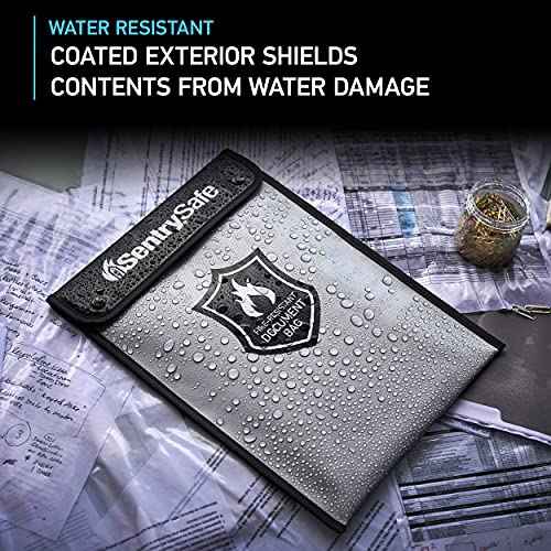 SentrySafe Fire and Water Resistant Portable Bag with Zipper for Money or Document Storage, FBWLZ0SSC
