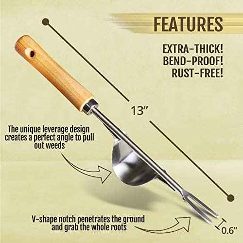 Betus Manual Hand Weeder - Bend-Proof Leverage Base for Super Easy Weed Removal & Deeper Digging - Sturdy Chrome Plated Steel - Compact Dandelion Weed Puller Tool for Yard Lawn and Farm
