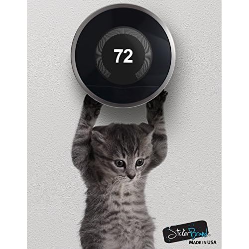 Cute Hanging Baby Kitten cat Door Decal Sticker #6067A