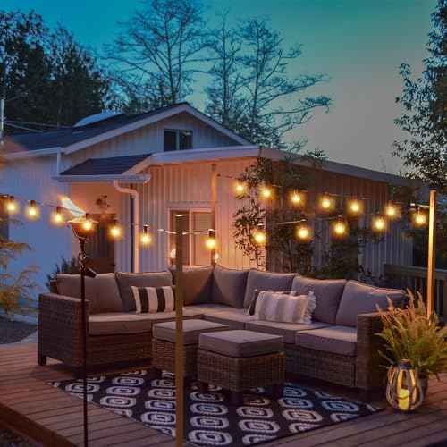 String Light Hanging Kits, 450FT Coated Stainless Steel 304 Wire Rope, Outdoor Black Guy Wire kit w/Expansion Hook, Enough Accessories, Humanized Collocation