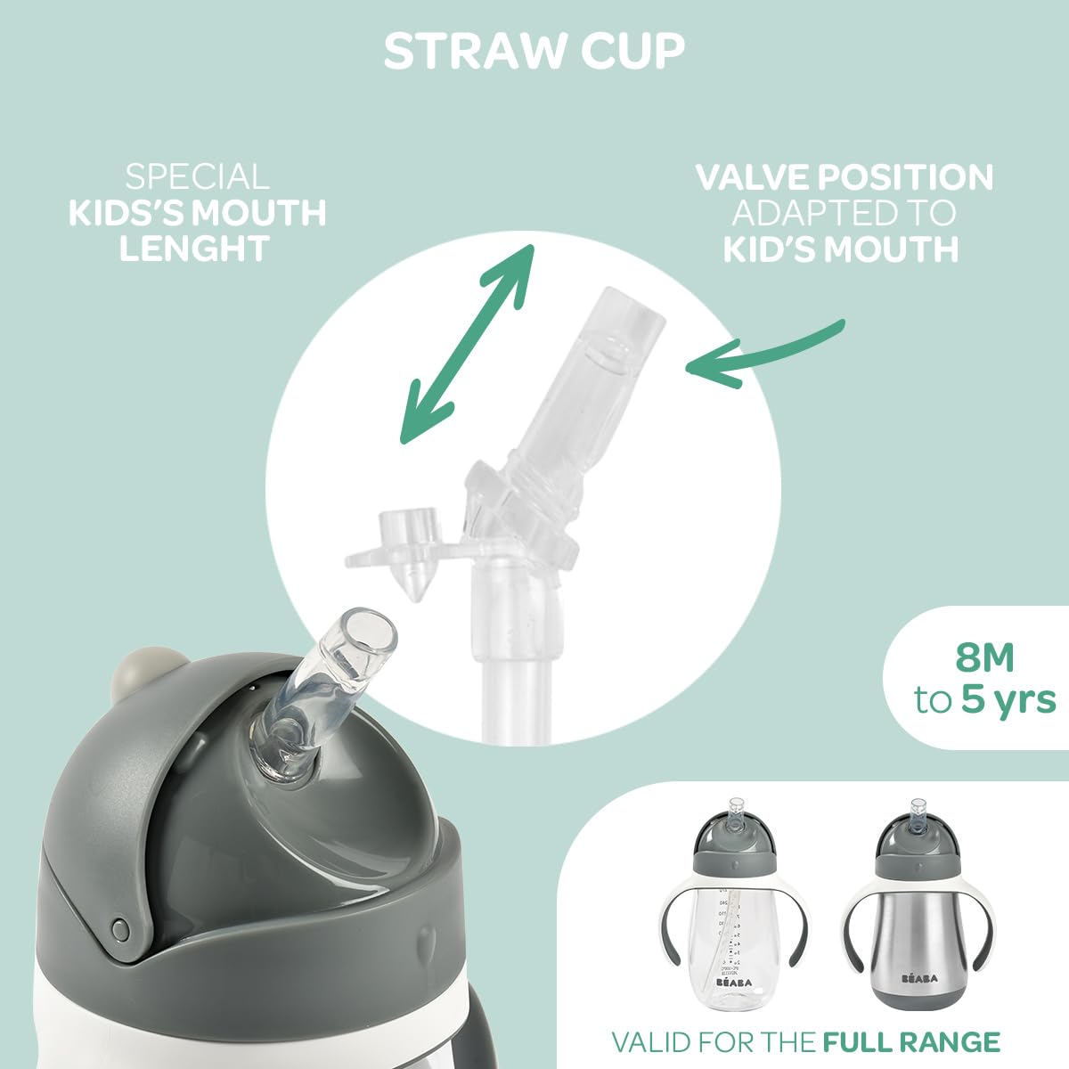Beaba Stainless Steel Straw Sippy Cup, Insulated Toddler Cups Spill Proof with Removable Handles, Made with High Grade Stainless Steel, 8+ months, 8.5 oz (Rain)