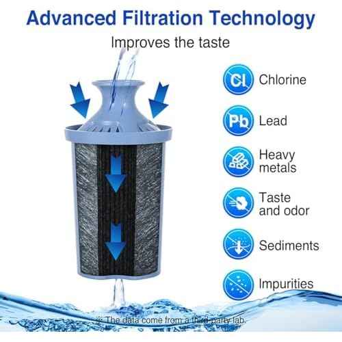 10-Cup Water Filter Pitcher & 2 Extended Life Water Filters (Removes Lead - 6 Months Per Filter) & Electronic Replacement Reminder - Compatible with Brita Water Pitcher/Brita Filter Pitcher