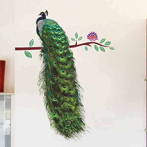 Nature Series Flower Peacock Garden Vinyl Removable DIY Wall Art Mural Sticker Decor Decal - Lady's Bedroom Office Sitting Living Room Hallway Kitchen Glass Door Window Nursery 26"H X 23"W