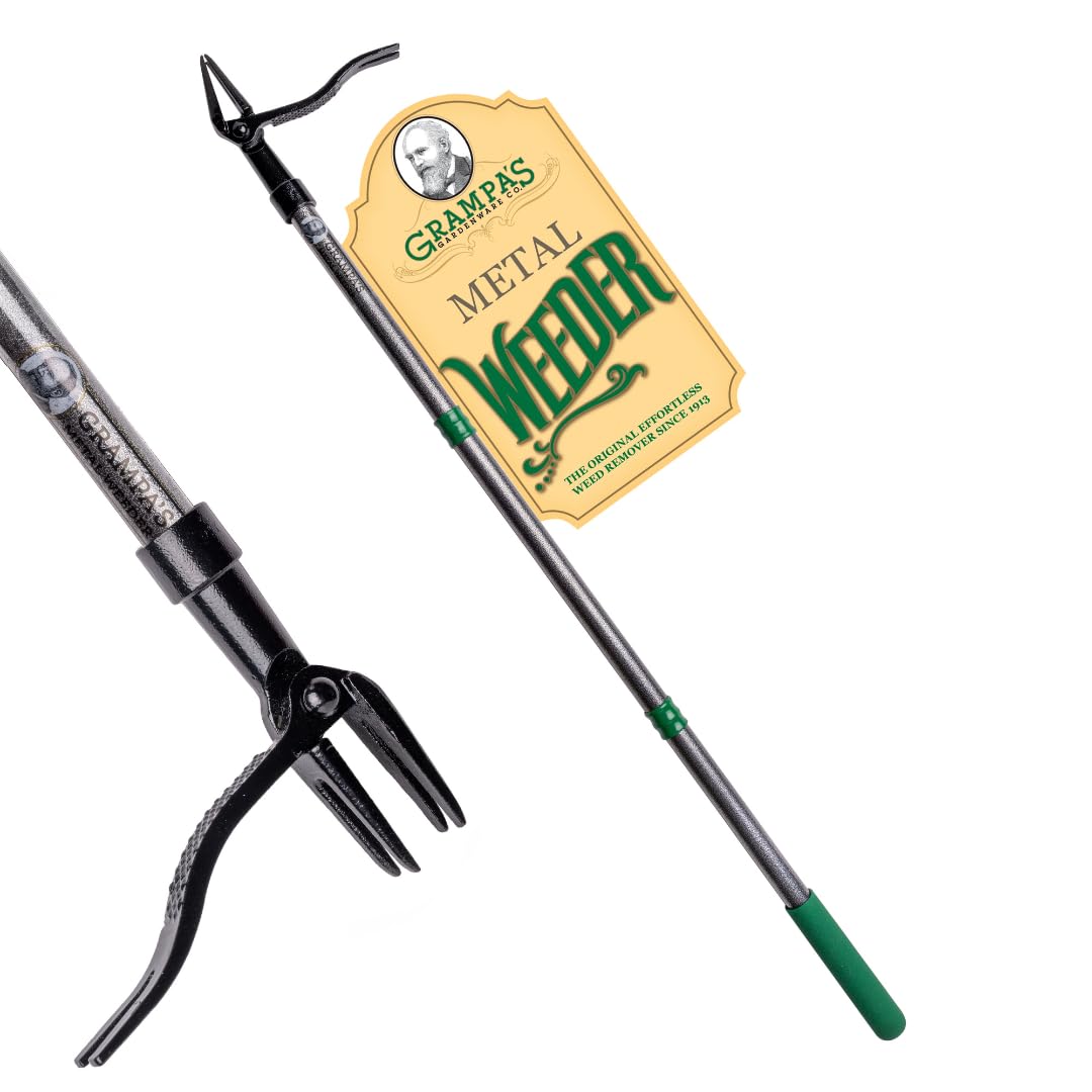 Grampa's Metal Weeder - Stand Up Weed Puller Tool with Steel Long Handle - Made with All Steel Handle & 4-Claw Steel Head - Easily Remove Weeds Without Bending, Pulling, or Kneeling (Green)