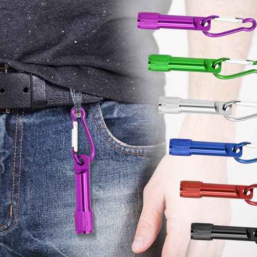 60 Pack Mini Keychain Flashlights Bulk, Ultra-Bright LED Metal Carabiner Clip Lights,Compact Emergency Lights for Camping, Hiking, Cycling, Survival Kits(60)