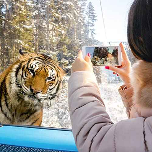 Funny Tiger Wall Sticker, Realistic Tiger Head Wall Decals Peel and Stick, Removable Vinyl Tiger Sticker Gift for Friends Kitchen Bathroom Kids Bedroom Store Window Wall Art Decor