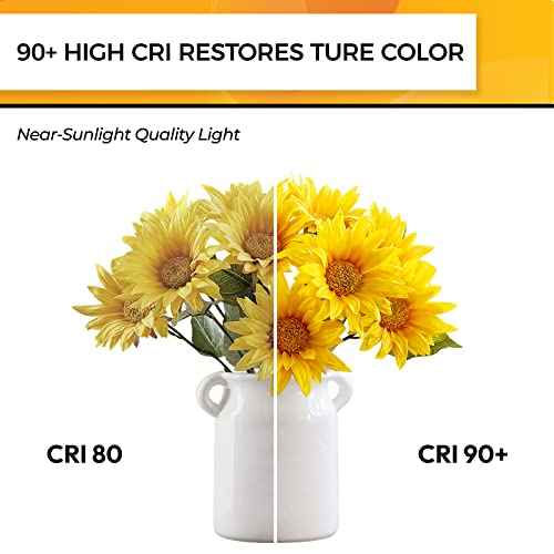 Hizashi 90+CRI E12 LED Bulb 60 Watt Dimmable, 2700K Soft White, Candelabra Light Bulb, B11 Chandelier Light Bulbs, 6W, 550LM, Candle Light Bulbs, UL Listed, 24 Pack