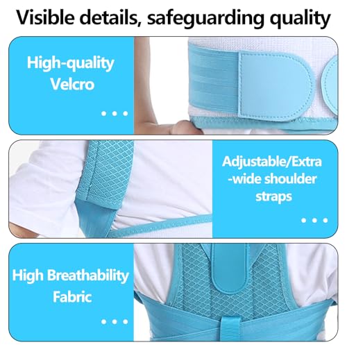 Posture Corrector for Kids,Adjustable Children Posture Corrector for Boys/Girls,Breathable Back Support Belt with Spine Lumbar Shoulder Braces for Hunchback，Spine Corrector (Blue, Small)