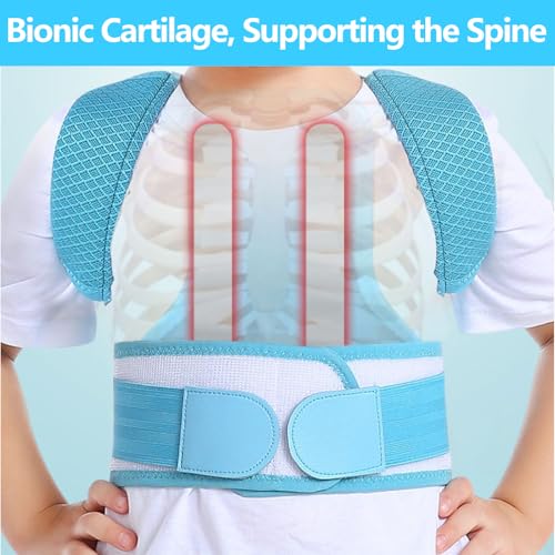 Posture Corrector for Kids,Adjustable Children Posture Corrector for Boys/Girls,Breathable Back Support Belt with Spine Lumbar Shoulder Braces for Hunchback，Spine Corrector (Blue, Small)