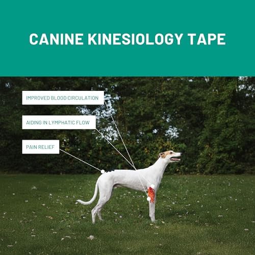 VETKIN VetkinTape® Veterinary Kinesiology Tape Blue | Kinesiology Tape for Horses & Dogs | Equine & Canine Kinesiotape | Latex Free and Quality Mark Certified Ktape | 4 inch | Pack of 1 Roll