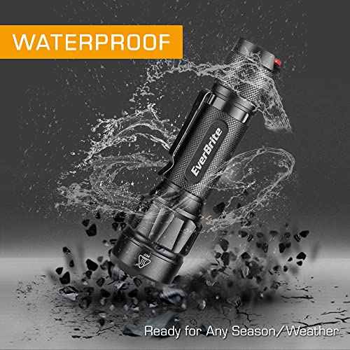 EverBrite LED Tactical Flashlight, Rechargeable Flashlight 750 Lumens with Lanyard & Clip, 6 Modes (High/Medium/Low/Strobe/SOS/Turbo), for Camping, Hiking, Emergency, Survival Use