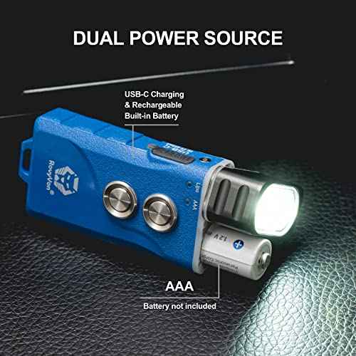 RovyVon Angel Eyes E1 Mini EDC Flashlight,700 Lumens Rechargeable Keychain Flash Light Dual-Battery Power Supply with USB-C and AAA Battery,for Emergency,Outdoor,Gift(Blue)