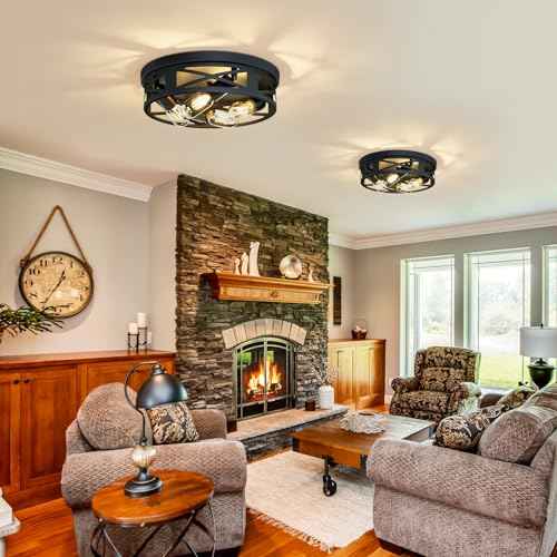 ZHU YAN Flush Mount 4-Light Ceiling Light Fixture for Hallway, Kitchen, Entryway - Black, E26 Base (2 Pack)