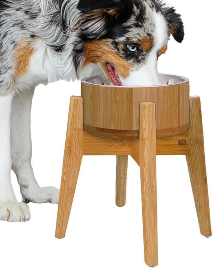 Raised Dog Bowl with Stand (12-inch) - Elevated Bamboo Food Bowl with Stainless Steel 304 Insert - Medium-to-Large Breeds Suitable