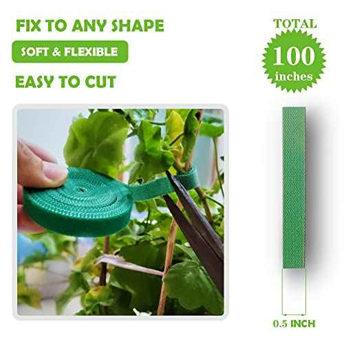 Green Garden Ties|Plant Ties for Climbing Plants 100 feet x1/2¡®¡¯in 3 Rolls|Plant Supports for Effective Growing Strong |Green-Recycled Plastic Garden Twine & Twist Ties for Tomato Stakes