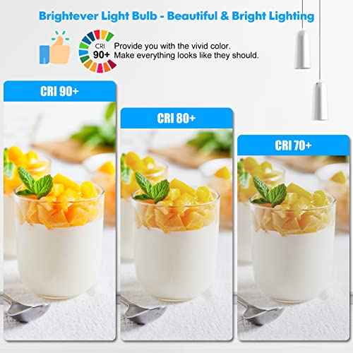 LED Light Bulbs, 100 Watt Equivalent A19 LED Bulbs, 13W 5000K Daylight White 1500 Lumens Non-Dimmable Bright E26 Edison Medium Screw Bulbs for Home Bedroom Living Room Office Outdoor Lamp, 30-Pack
