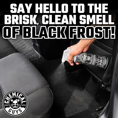 Chemical Guys AIR_302 Black Frost Scent and Signature Scent Combo Pack, Great for Cars, Trucks, SUVs, RVs, Home, Office & More (2-16 Fl Oz Items)