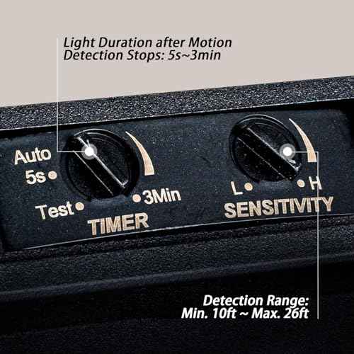 Industrial Motion Sensor Outdoor Flush Mount Ceiling Light, Water Ripple Glass Square Black 2-Light Ceiling Lamp for Porch, Entryway, and Garage, Timer and Sensitivity Adjustable