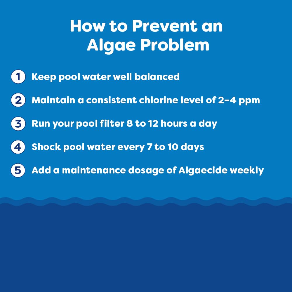 In The Swim Algaecide 60 Plus for Swimming Pools - Non-Metallic, Low Odor, Non-Foaming Algae Bloom Preventative - Chlorine Sanitizer Compatible - 1 Gallon