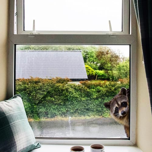 2pc Cute Raccoon Window Sticker Removable Animal Sticker for car, Room and Modern Home Decoration 29x29cm
