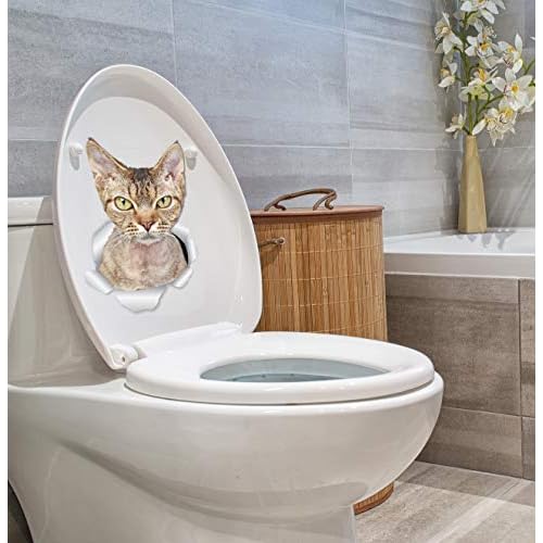 Winston & Bear Grumpy Rex Cat Wall Decals - 2 Pack - Grumpy Rex Cat Toilet Sticker ? 3D Cat Car Window and Bumper Sticker - Retail Packaged Cat Lover Gifts