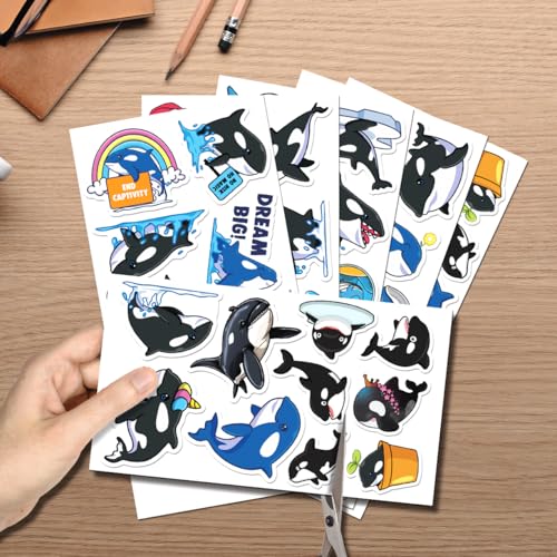 Cartoon Killer Whale Orca Stickers 50pcs Vinyl Pack for Kids Teens Ocean Lovers DIY Crafts Laptop Water Bottle Skateboard Motorcycle Bottles Bedroom Wall
