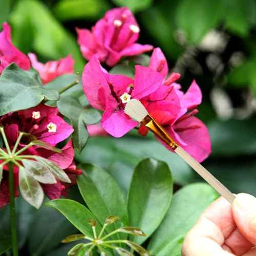 10PCS Manual Pollination Brush Set Pollinator Tool Handheld Garden Pollination Brush for Vegetable Flower Fruit Tree