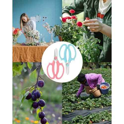 Flower Scissors - Stainless Steel Floral Scissors, Florist Cutters for Stems, Garden Plant Shears for Fresh Flowers (Blue, Pink) (12 PCS)