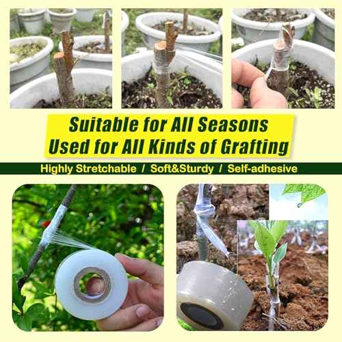 Nursery Grafting Tape, Buddy Tape for Fruit Trees/Plant Self-Adhesive PE Stretchable Film for Grafting and Budding -Garden Grafting Tool (3CM(1-1/5") W, 2 Roll)