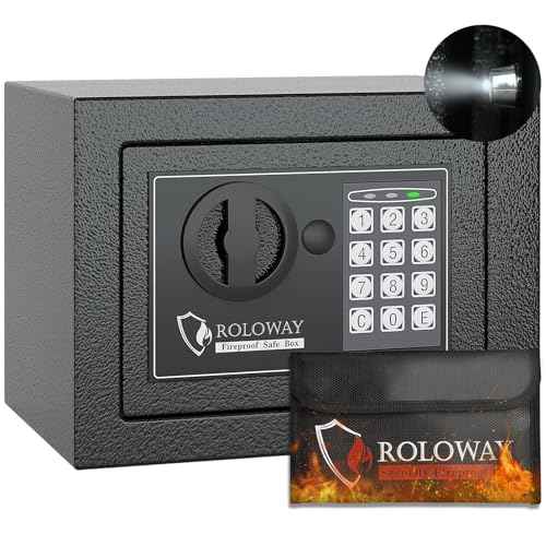ROLOWAY Steel Money Safe Box for Home with Fireproof Money Bag for Cash Hidden, Security Safe Box with Keys and Keypad (Black)