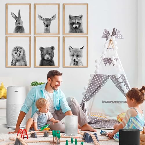 EPHANY Black and White Wall Art, Baby Animal Posters and Prints, Safari Bunny Prints, Nursery Bear Wall Art, Owl Print Wall Art Nordic Picture Kids Room Decoration (YMX017,8"x10"(20x25cm))