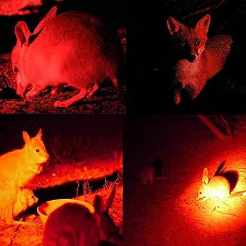 Green Red Light Hunting Flashlight Night Tactical Flashlights One Mode Handheld Flashlight Waterproof Predator Light Torch Light for Astronomy Aviation Night 2 Pcs