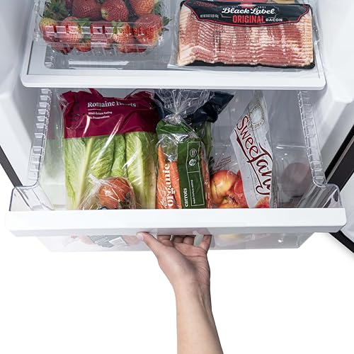 Newair Upright Freezer | 13.8 Cu. Ft., Garage-Ready Stand Up Freezer with Digital Controls, Auto Defrost, Fast Freeze Mode & LED Lighting | Stainless Steel