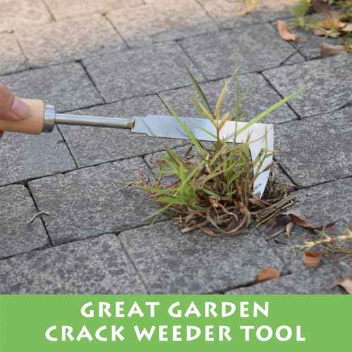 Crack Weeder, 12" Stainless Steel Crevice Weeding Tool with Wood Handle, L-Shaped Side-Walk Weed Puller Spatula, for Garden Lawn Yard Patio Terrace Paving Moss, Small Gardening Tool