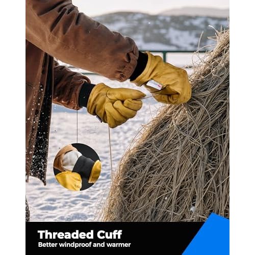 toolant Leather Winter Work Gloves for Men, 100% Grain Cowhide with Warm Thinsulate Lining, Water & Abrasion Resistance