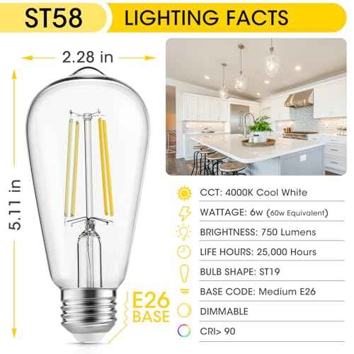 LED Edison Light Bulbs, 60W Equivalent Incandescent Edison Bulbs, Efficient 6W ST58, E26 Medium Base, Dimmable, 750 Lumens, 4000K, Cool White, 90+ CRI, Clear - 24 Count (Pack of 1)