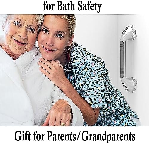 16.5inch Suction Bath Grab Bar with Indicators, Balance Assist Bathroom Shower Handle, Silver/Grey（Pack of 2）